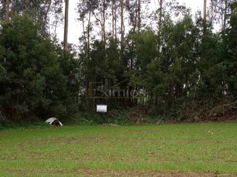 Terreno em Aveleda