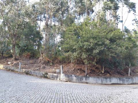 Terreno em Touguinha