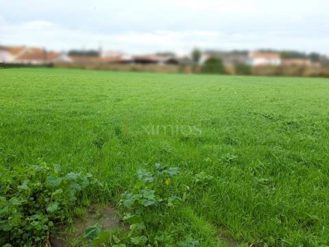 Terreno em Touguinha
