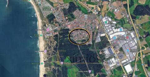 Terreno para construção, em Árvore