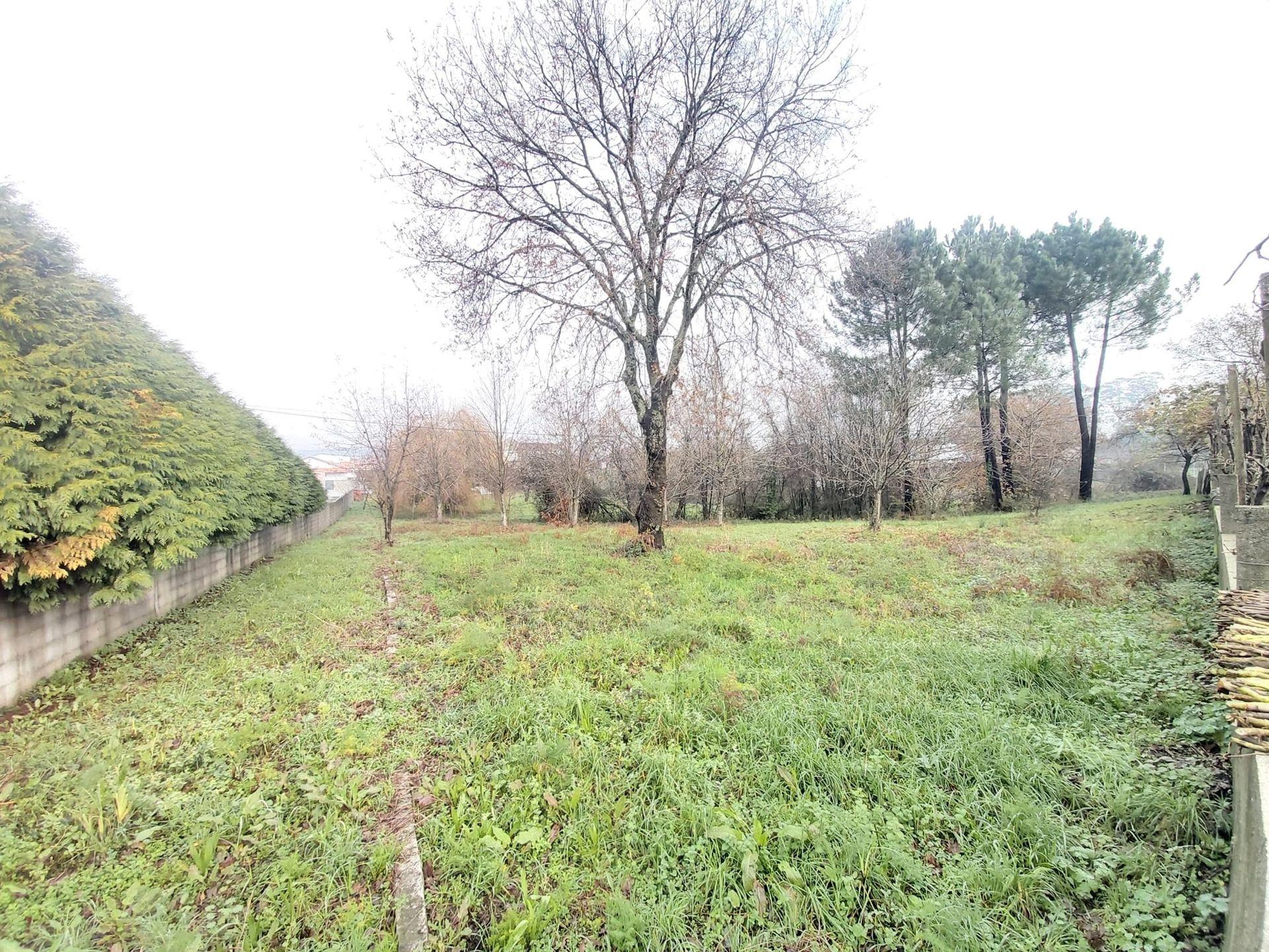 Terreno Para Construção  Venda em Frazão Arreigada,Paços de Ferreira