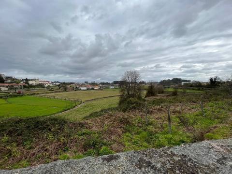 Quinta  Venda em Sanfins Lamoso Codessos,Paços de Ferreira