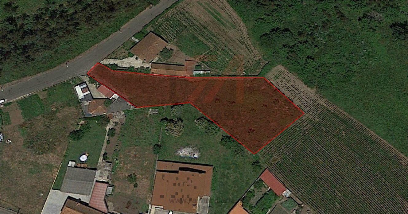 Terreno  Venda em Carvalhosa,Paços de Ferreira
