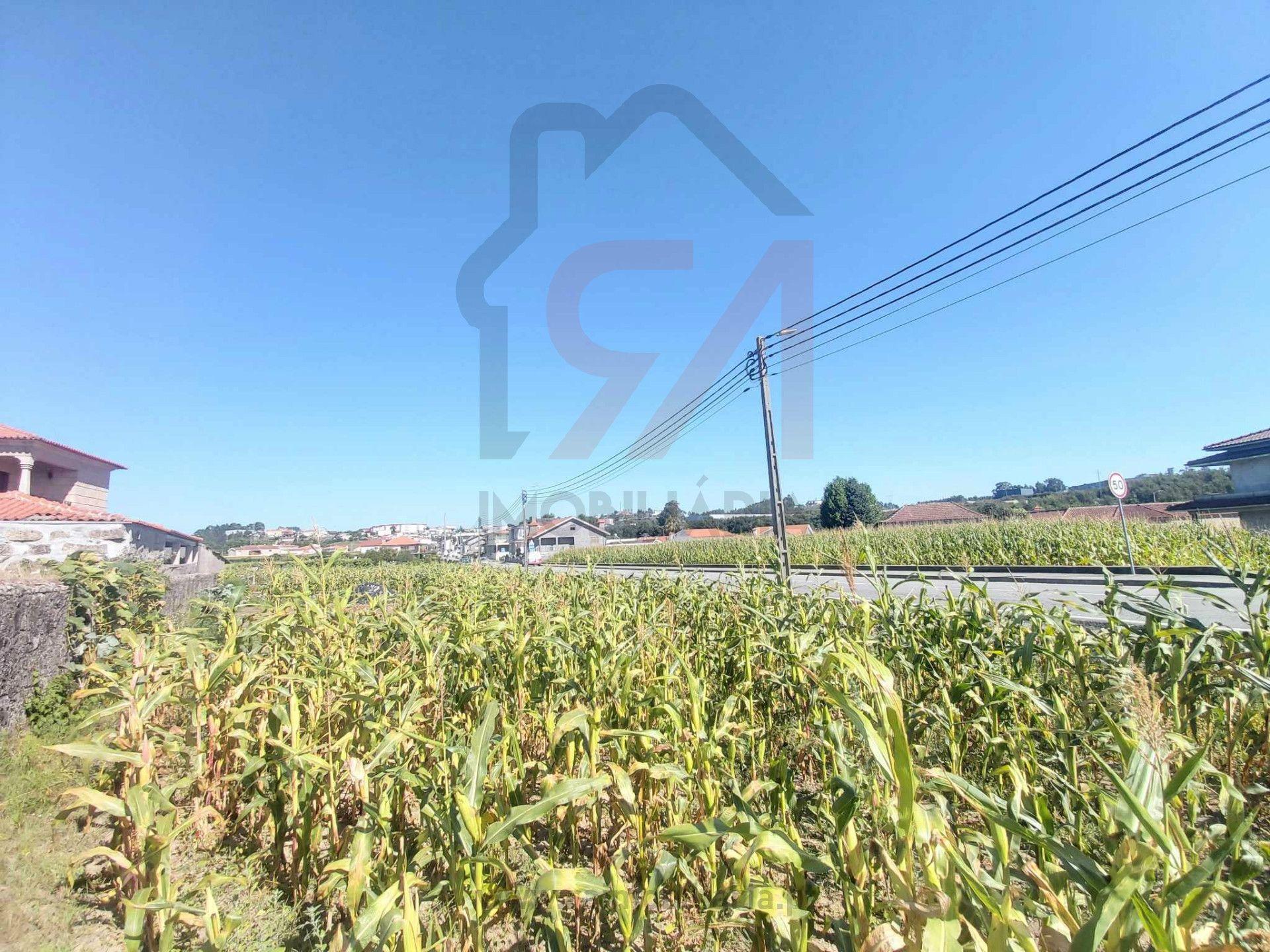 Terreno  Venda em Carvalhosa,Paços de Ferreira