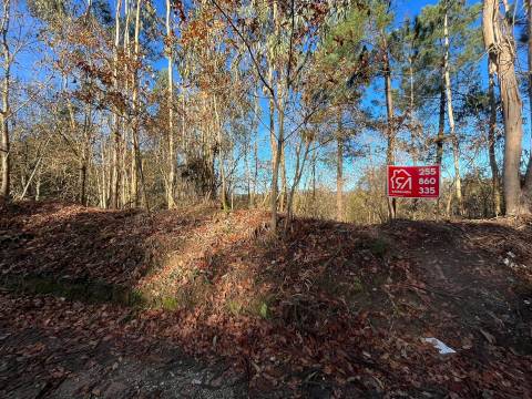 Terreno Para Construção  Venda em Carvalhosa,Paços de Ferreira