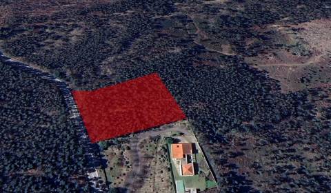 Terreno  Venda em Eiriz,Paços de Ferreira