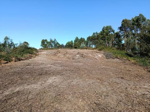 Terreno  Venda em Paços de Ferreira,Paços de Ferreira