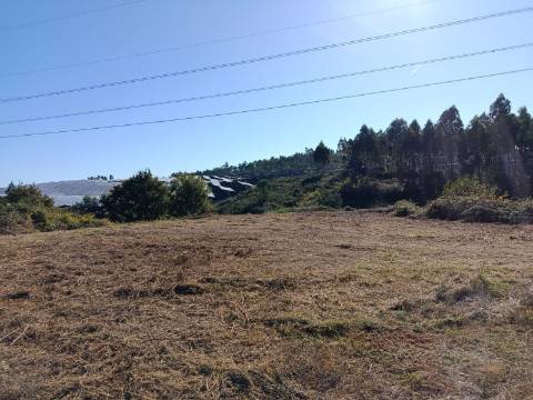 Terreno  Venda em Paços de Ferreira,Paços de Ferreira