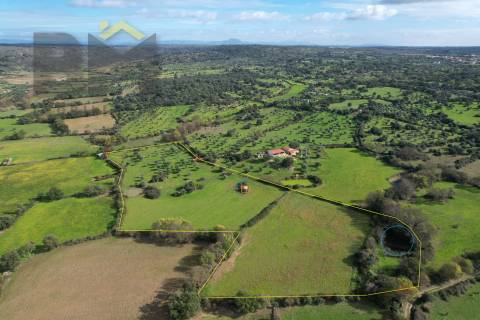 Quinta  Venda em Oledo,Idanha-a-Nova