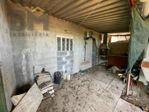 Terreno Rústico  Venda em Freixial e Juncal do Campo,Castelo Branco