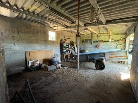 Terreno Rústico  Venda em Freixial e Juncal do Campo,Castelo Branco