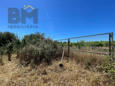 Terreno Rústico  Venda em Freixial e Juncal do Campo,Castelo Branco