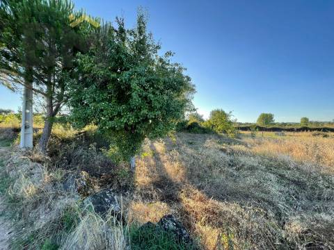 Terreno Rústico  Venda em Freixial e Juncal do Campo,Castelo Branco