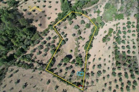 Quintinha  Venda em Freixial e Juncal do Campo,Castelo Branco