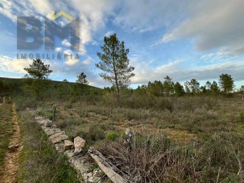 Terreno Rústico  Venda em Freixial e Juncal do Campo,Castelo Branco
