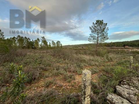 Terreno Rústico  Venda em Freixial e Juncal do Campo,Castelo Branco