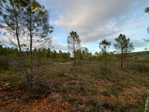 Terreno Rústico  Venda em Freixial e Juncal do Campo,Castelo Branco