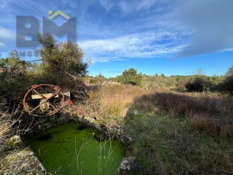 Terreno Rústico  Venda em Freixial e Juncal do Campo,Castelo Branco