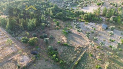 Terreno Rústico  Venda em Freixial e Juncal do Campo,Castelo Branco