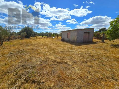 Terreno Rústico  Venda em Escalos de Cima e Lousa,Castelo Branco