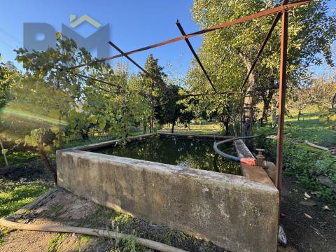 Quinta  Venda em Escalos de Baixo e Mata,Castelo Branco