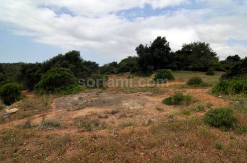 Terreno Para Construção  Venda em Pechão,Olhão