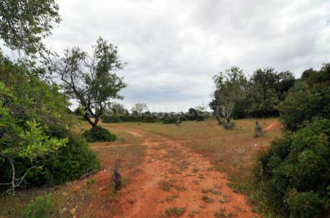 Terreno Para Construção  Venda em Pechão,Olhão