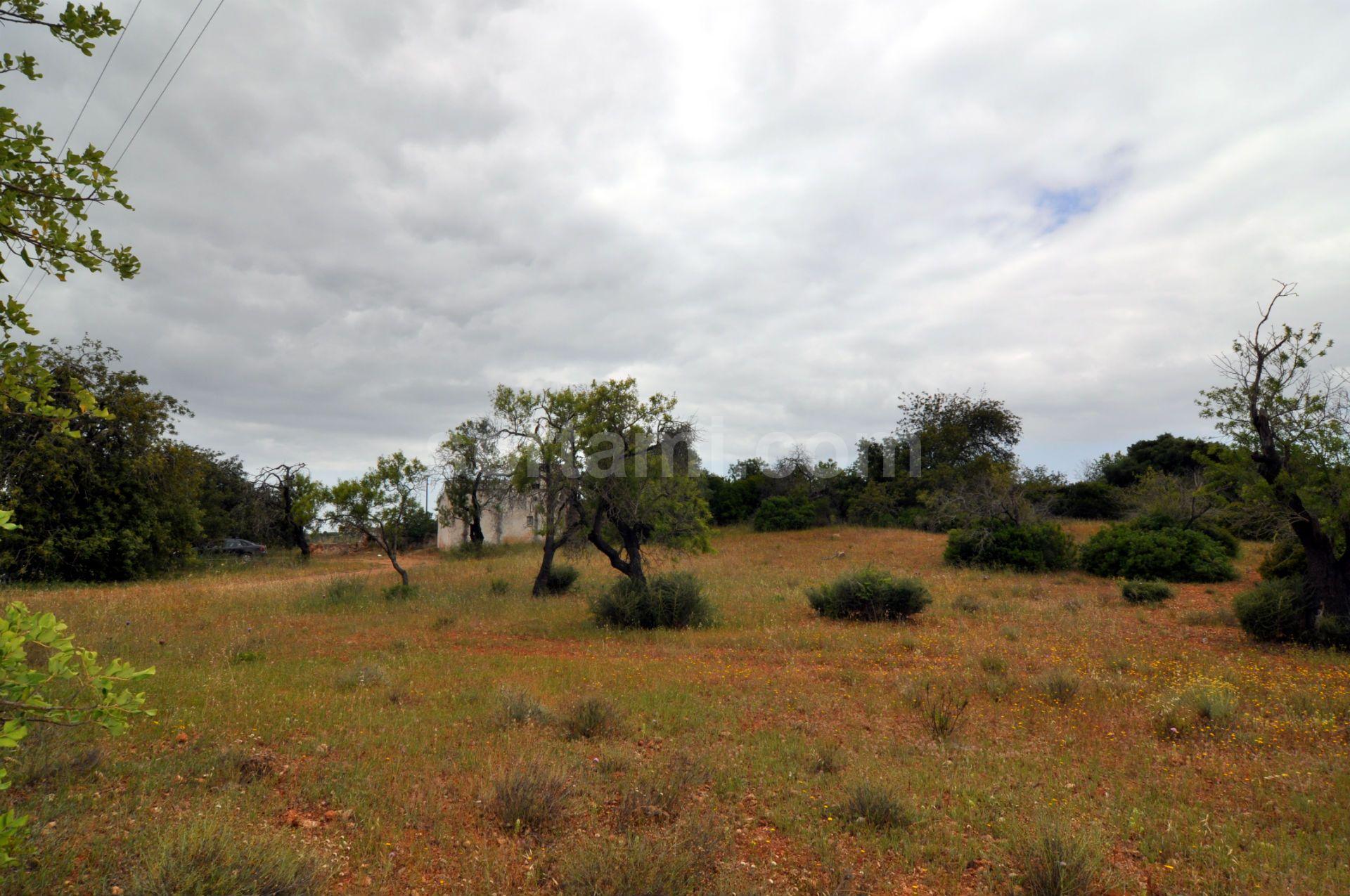 Terreno Para Construção  Venda em Pechão,Olhão