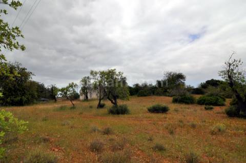 Terreno Para Construção  Venda em Pechão,Olhão