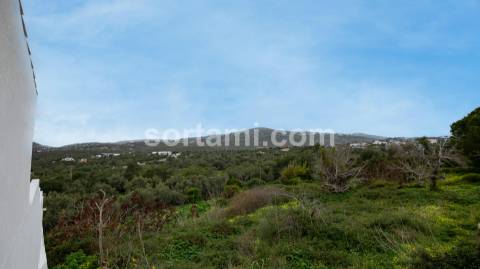 Terreno Para Construção  Venda em São Brás de Alportel,São Brás de Alportel