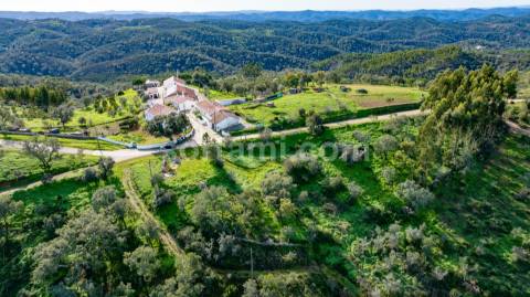 Herdade  Venda em São Barnabé,Almodôvar