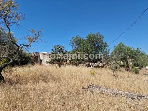 Terreno Para Construção  Venda em Santa Bárbara de Nexe,Faro