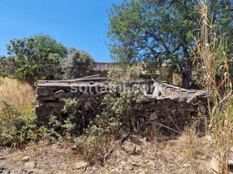 Terreno Para Construção  Venda em Santa Bárbara de Nexe,Faro