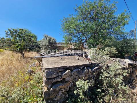 Terreno Para Construção  Venda em Santa Bárbara de Nexe,Faro