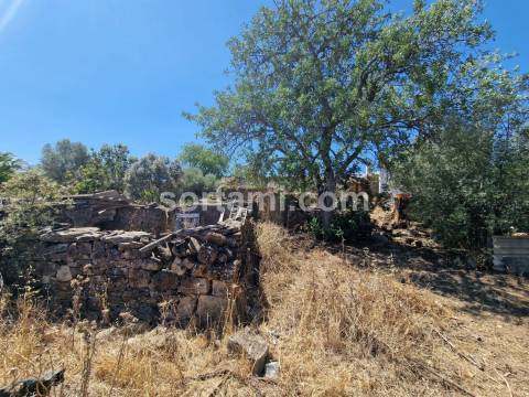 Terreno Para Construção  Venda em Santa Bárbara de Nexe,Faro