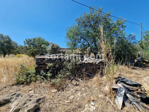 Terreno Para Construção  Venda em Santa Bárbara de Nexe,Faro