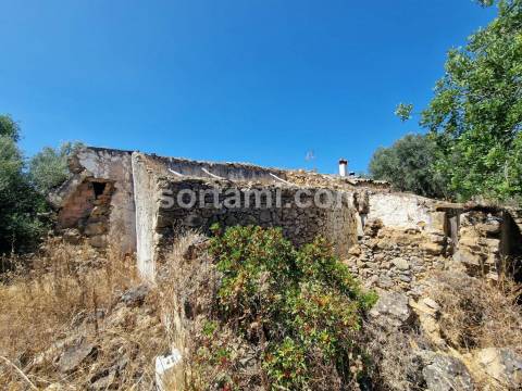 Terreno Para Construção  Venda em Santa Bárbara de Nexe,Faro