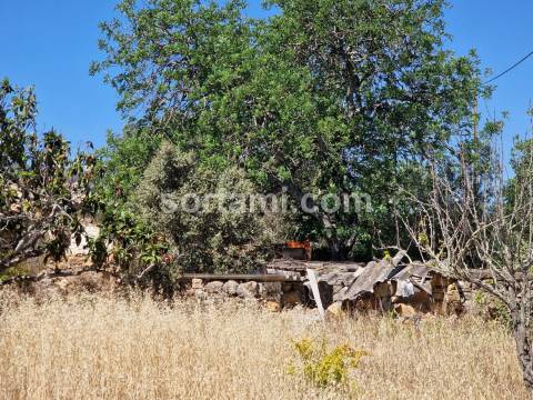 Terreno Para Construção  Venda em Santa Bárbara de Nexe,Faro
