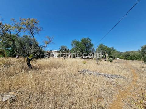 Terreno Para Construção  Venda em Santa Bárbara de Nexe,Faro