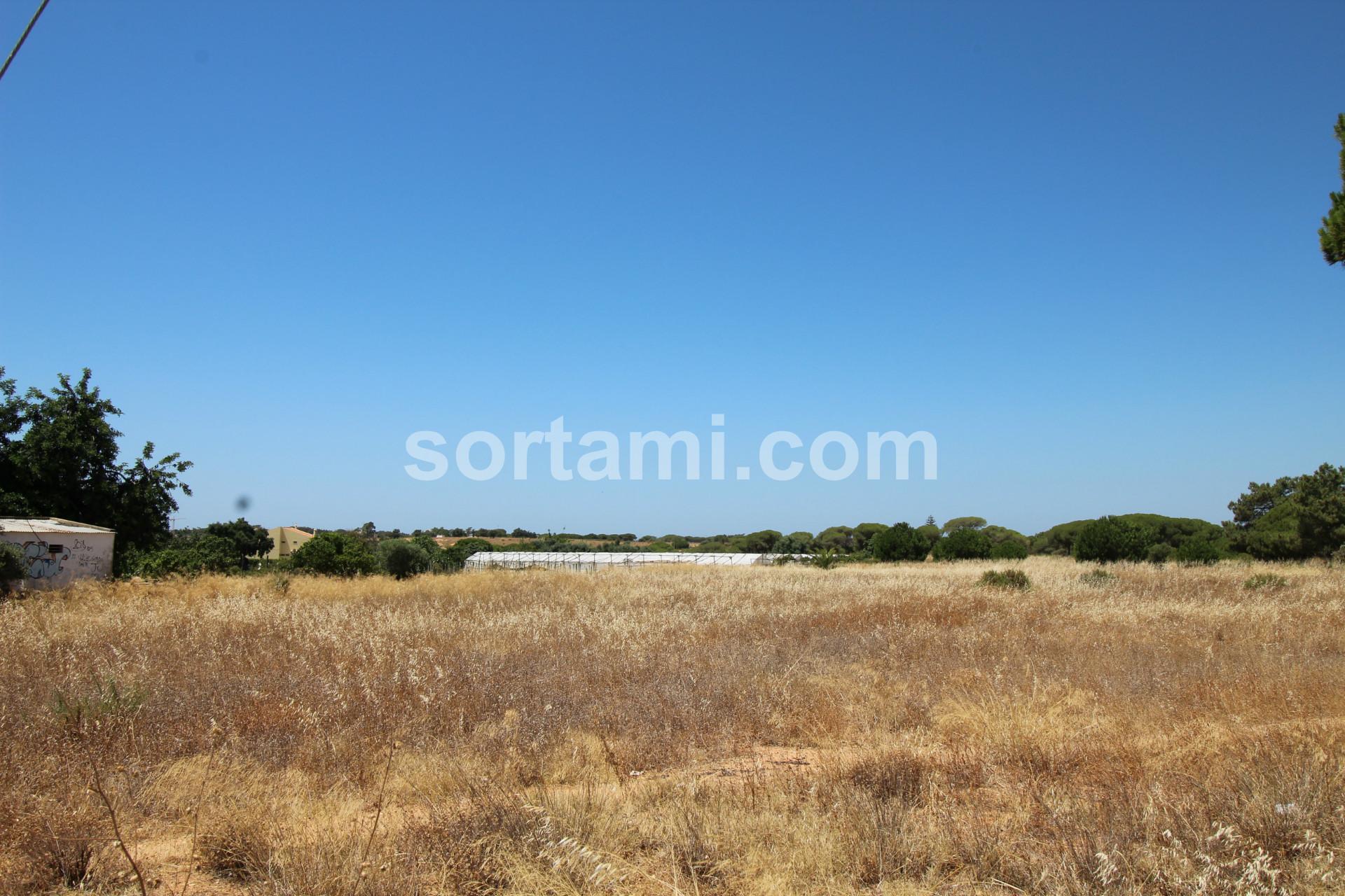 Terreno Para Construção  Venda em Montenegro,Faro