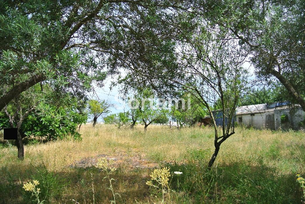 Terreno Para Construção  Venda em Santa Bárbara de Nexe,Faro