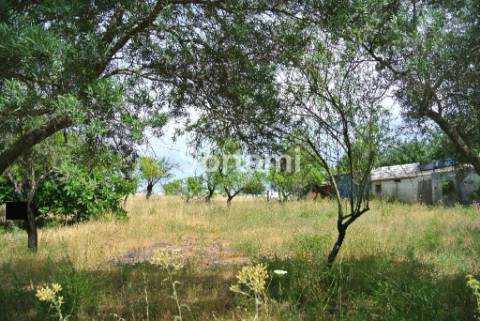 Terreno Para Construção  Venda em Santa Bárbara de Nexe,Faro