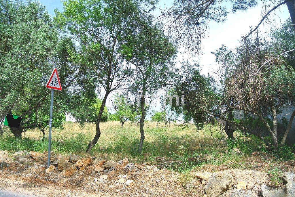 Terreno Para Construção  Venda em Santa Bárbara de Nexe,Faro
