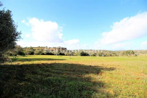 Terreno Rústico  Venda em Algoz e Tunes,Silves