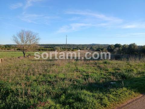Terreno Rústico  Venda em São Bartolomeu de Messines,Silves