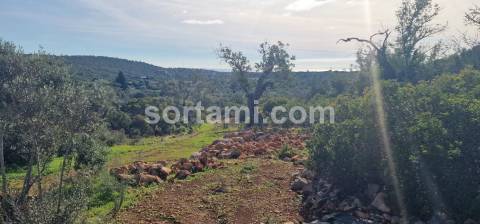 Moradia Isolada T2 Venda em Moncarapacho e Fuseta,Olhão