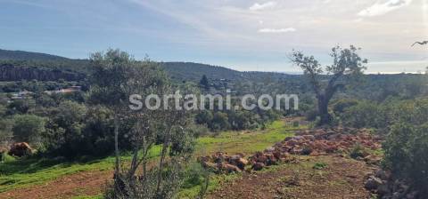 Moradia Isolada T2 Venda em Moncarapacho e Fuseta,Olhão