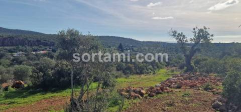 Moradia Isolada T2 Venda em Moncarapacho e Fuseta,Olhão