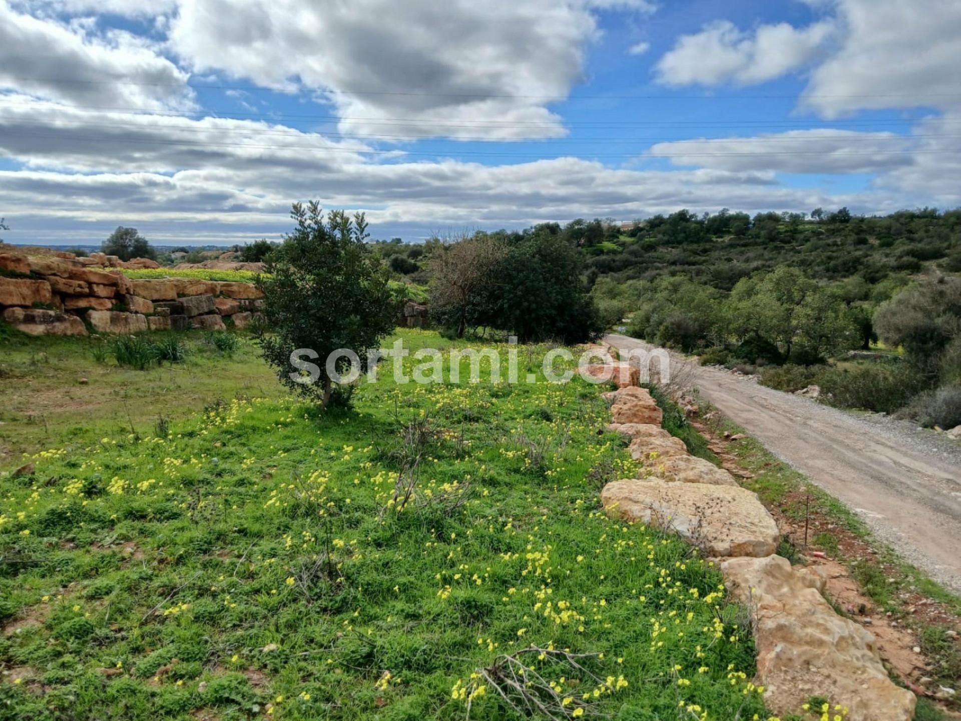 Terreno Rústico  Venda em Albufeira e Olhos de Água,Albufeira