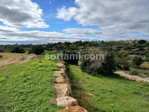 Terreno Rústico  Venda em Albufeira e Olhos de Água,Albufeira